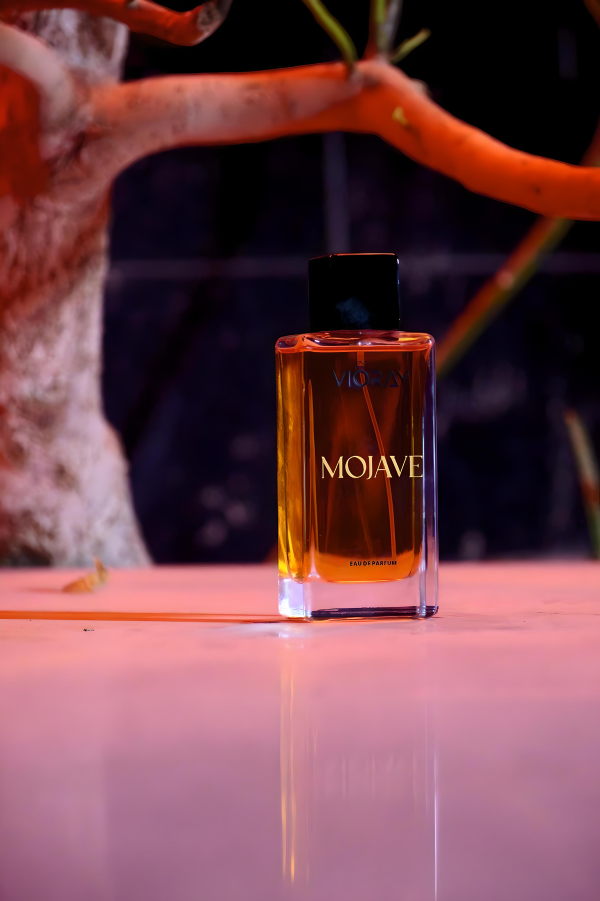 MOJAVE